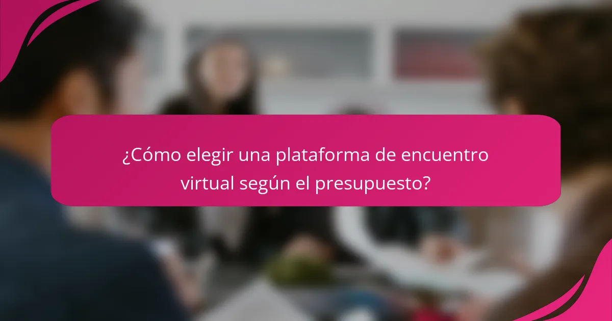 ¿Cómo elegir una plataforma de encuentro virtual según el presupuesto?