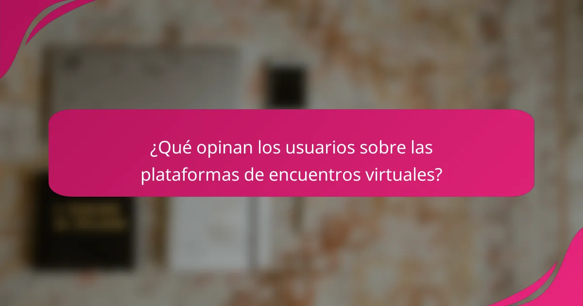 ¿Qué opinan los usuarios sobre las plataformas de encuentros virtuales?